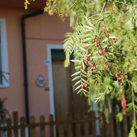 Pepe Rosa Bed & Breakfast Termoli Exterior photo